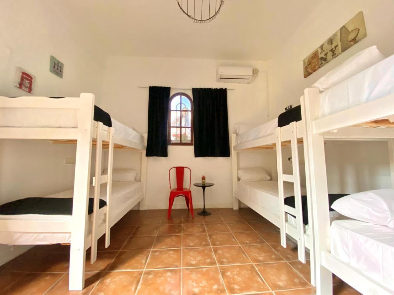 Ph Palermo Hostel Buenos Aires Ngoại thất bức ảnh